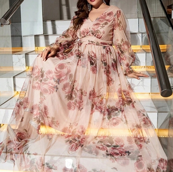 Toleen Plus Size Women Sheer Maxi Dress Size 4XL NWT - Picture 4 of 10